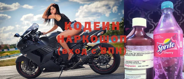 хмурый Алзамай
