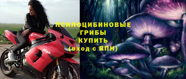 хмурый Алзамай