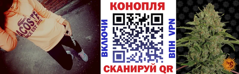 Конопля SATIVA & INDICA omg маркетплейс Калачинск